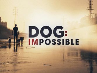 Dog Impossible - Zweite Chance für Hunde