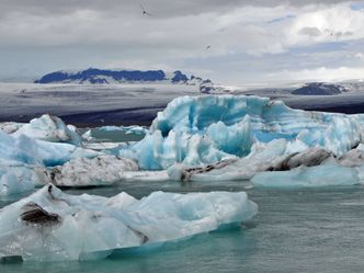 Arctic Drift - Ein Jahr auf dünnem Eis