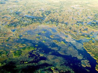 Die wilden Flüsse Afrikas Okavango