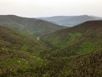 Georgiens Nationalparks
