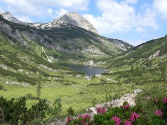 Wüste der Alpen: Lebendiges Totes Gebirge