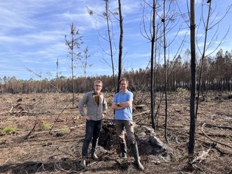 Le monde de Jamy - Incendies, réchauffement, surexploitation: comment sauver nos forêts ?